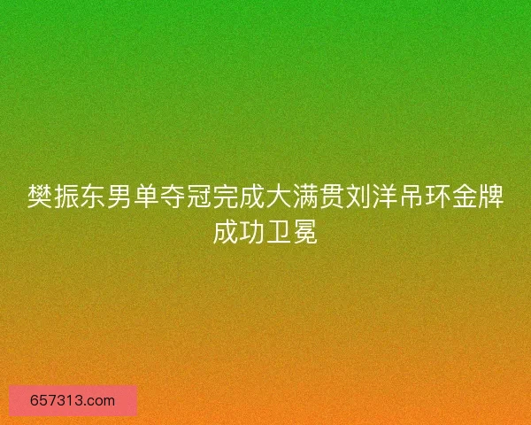樊振东男单夺冠完成大满贯刘洋吊环金牌成功卫冕