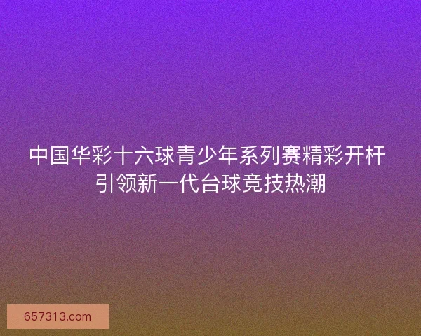 中国华彩十六球青少年系列赛精彩开杆 引领新一代台球竞技热潮