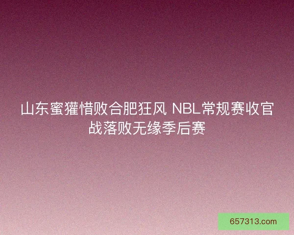 山东蜜獾惜败合肥狂风 NBL常规赛收官战落败无缘季后赛